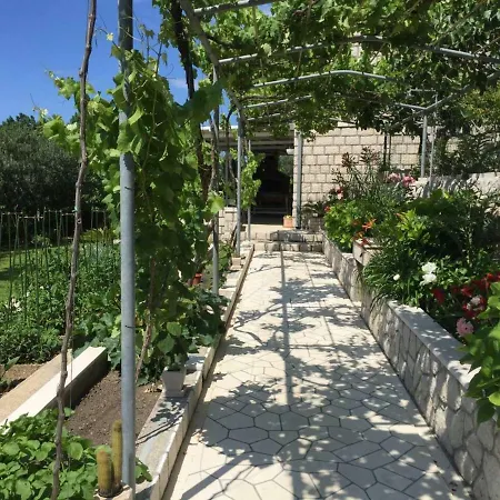 Apartment Silvija Mlini